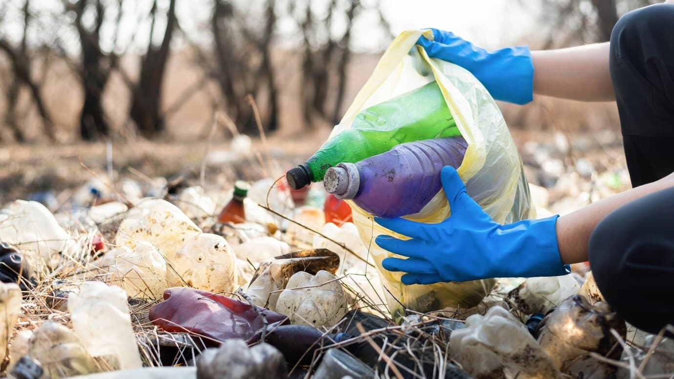 Veterinary Waste Disposal Services